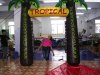 tropical-portal-440