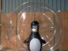 pingvin-bubbla-440