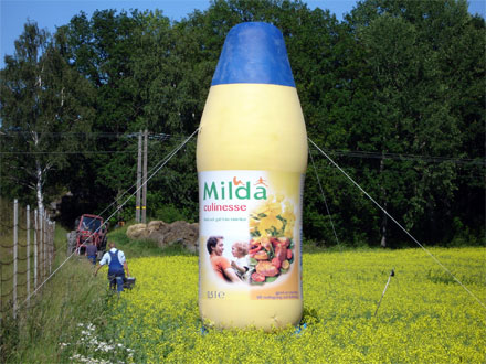 Milda-culinesse rapsfält